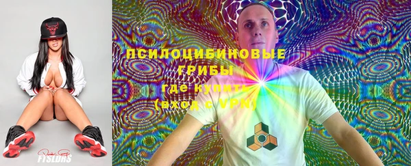 гашиш Каменногорск