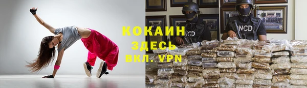 ALPHA-PVP Каменка