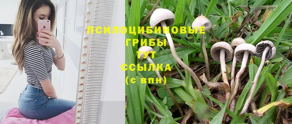 герыч Иннополис