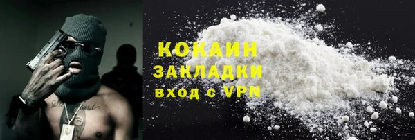 PSILOCYBIN Инта