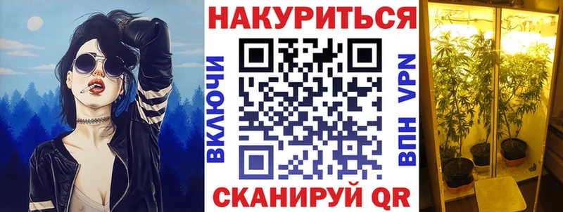 Конопля AK-47  Купить  Зеленодольск 